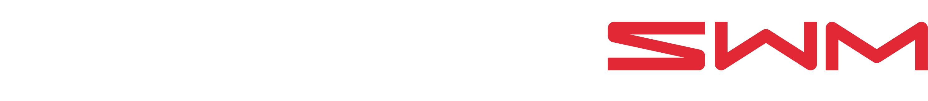 Shineray Logo | Design